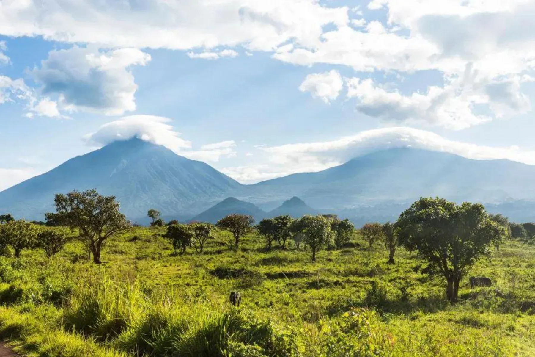 Savane et volcans du Virunga