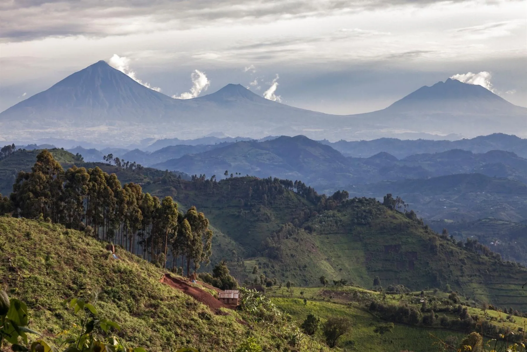 Parc des Virunga